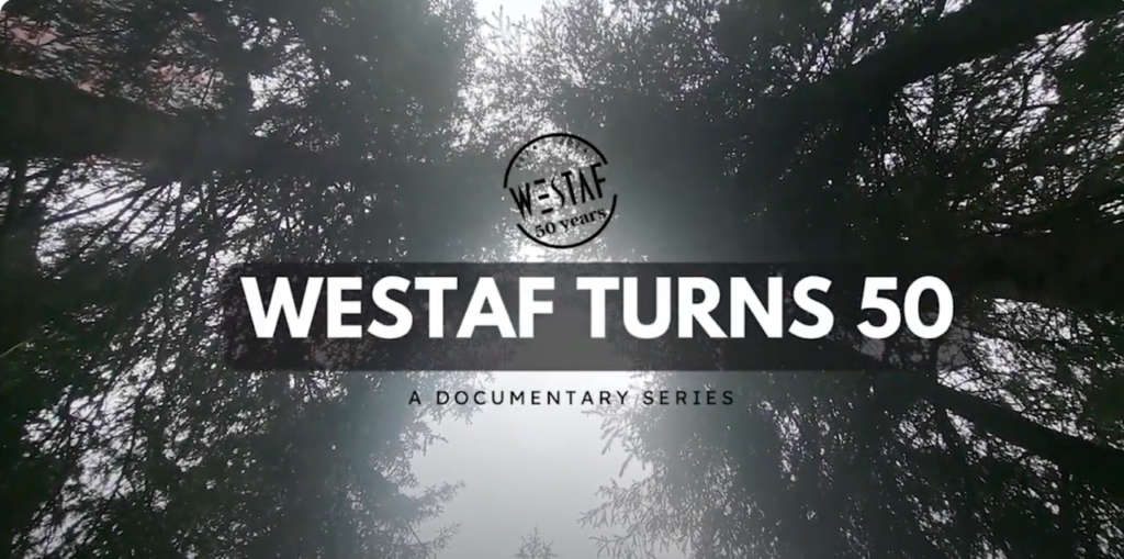 WESTAF Turns 50 documentary title design.